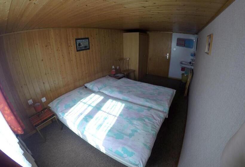 غرفة قياسية حمام مشترك, Garni Traube B&b