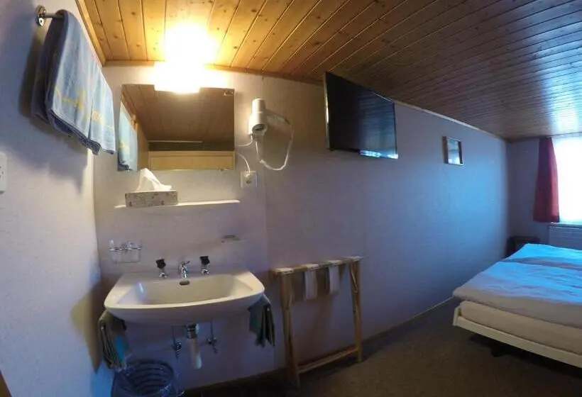 バス共有のスタンダードルーム, Garni Traube B&b