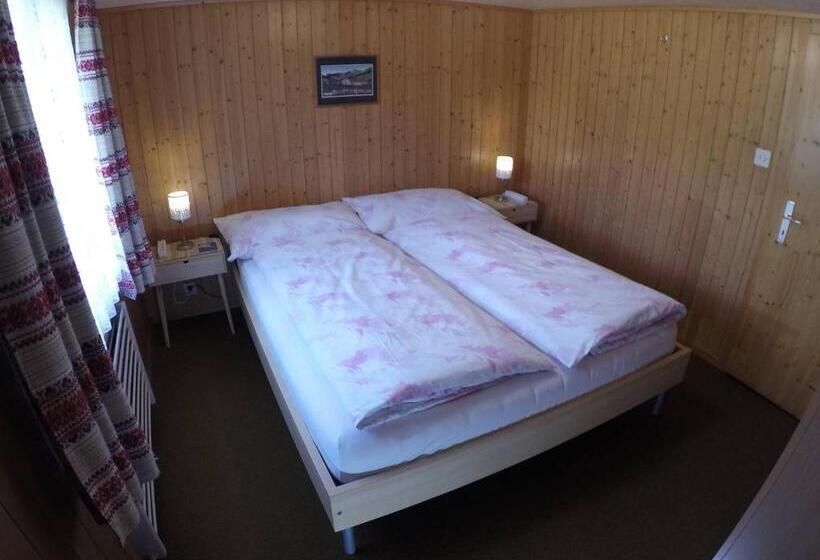 غرفة قياسية, Garni Traube B&b