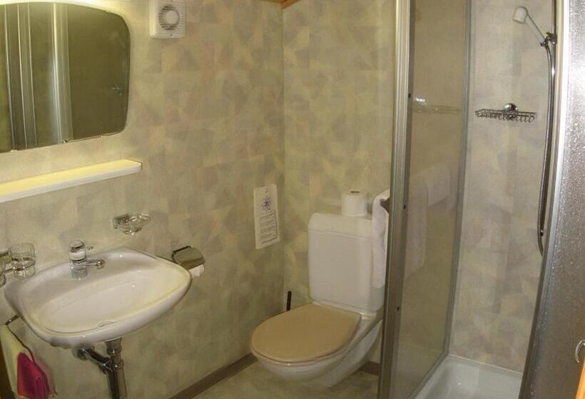 اتاق استاندارد یک نفره, Garni Traube B&b