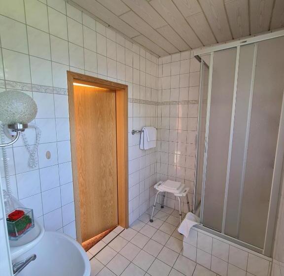 スタンダードルーム, Land