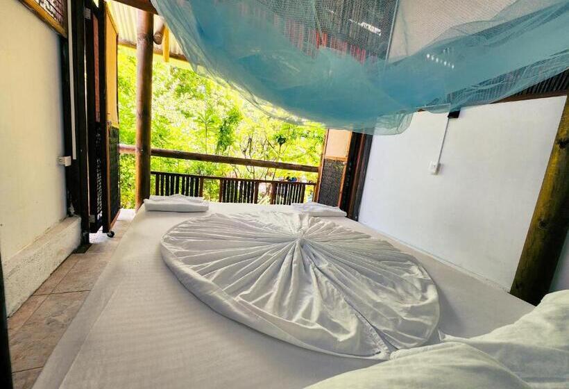 اتاق استاندارد, El Hamaquero Hostal Econativo