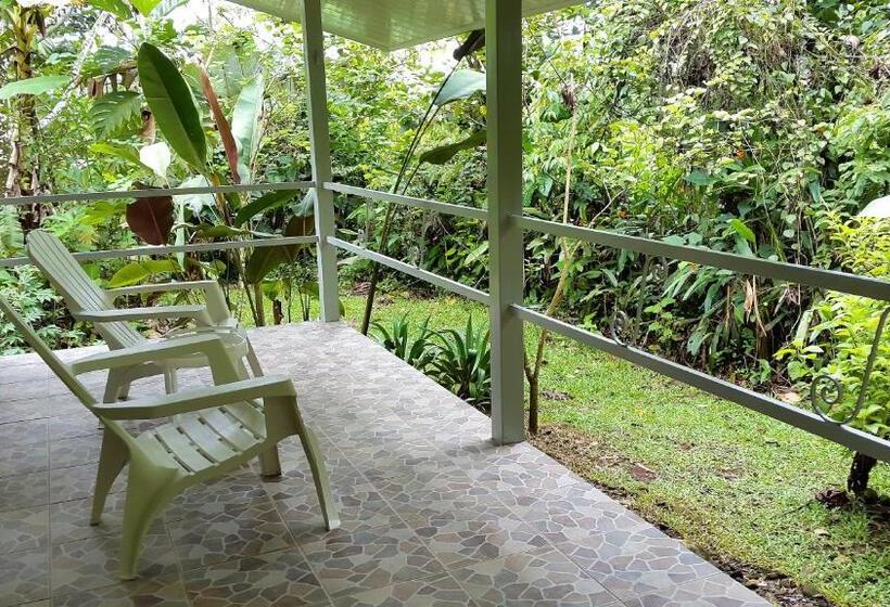 带大床的豪华间, Tropical Paradise Bungalows