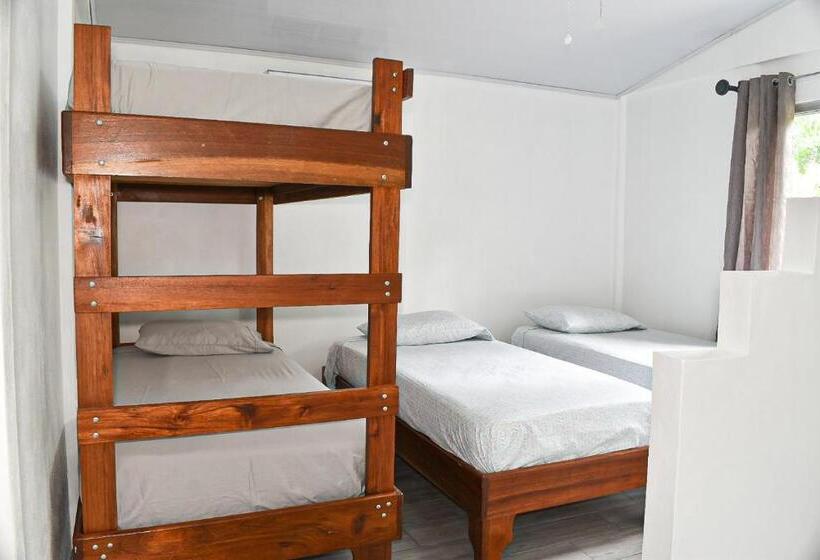 بنجلو عائلى, Tropical Paradise Bungalows