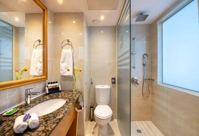 اتاق کلاسیک با چشم‌انداز دریا, Constantinou Bros Athena Beach Hotel