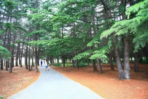 اتاق استاندارد با بالکن, Continental Park