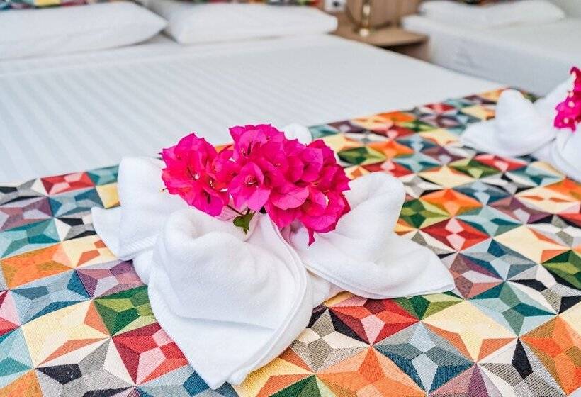 غرفة قياسية رباعية, Giada