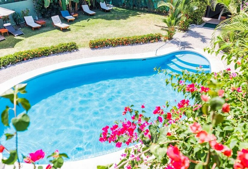 غرفة قياسية مطلّة علي حمام السباحة, Giada