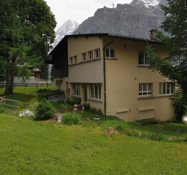 Апартаменты 1 Спальня Нижний Этаж, Jungfrau Murren