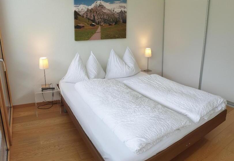 آپارتمان 1 خوابه با چشم‌انداز, Jungfrau Murren
