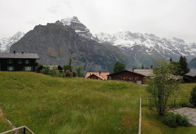 آپارتمان 1 خوابه با چشم‌انداز, Jungfrau Murren