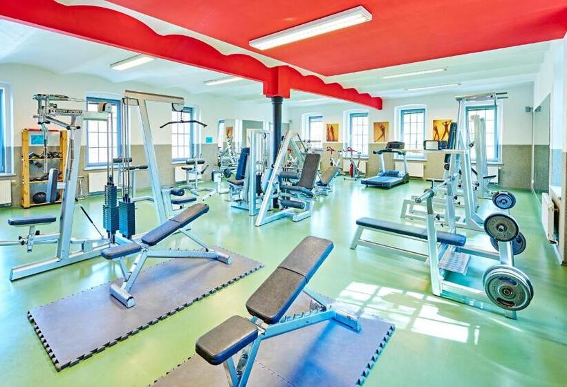 غرفة ديلوكس فردية, Aparthotel Lípa