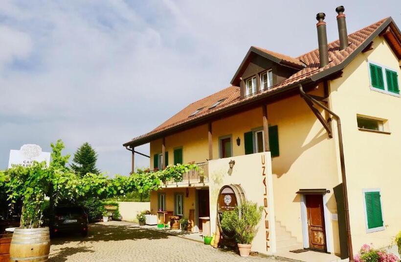 Номер Стандарт Вид на Горы, Cave Du Treyblanc