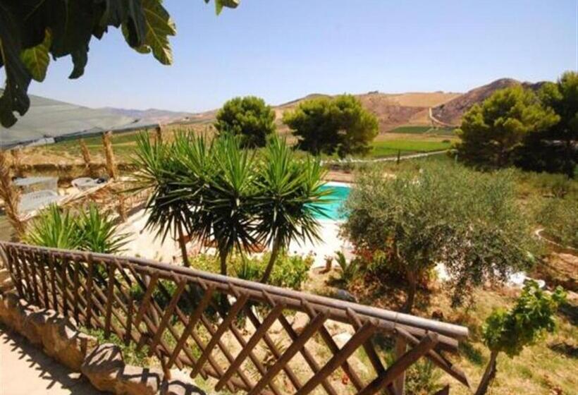 标准间, Terra Nostra