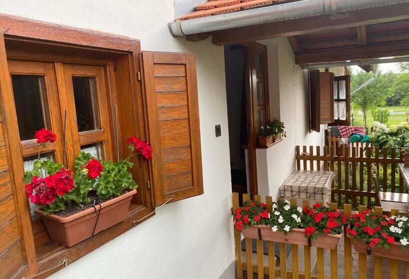 דירת שני חדרים, Csörgő Vendégházak