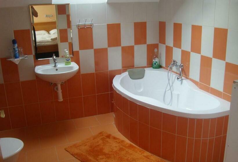 חדר סטנדרט, Penzion U Kašných