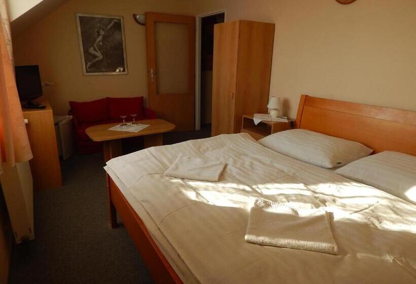 חדר סטנדרט, Penzion U Kašných