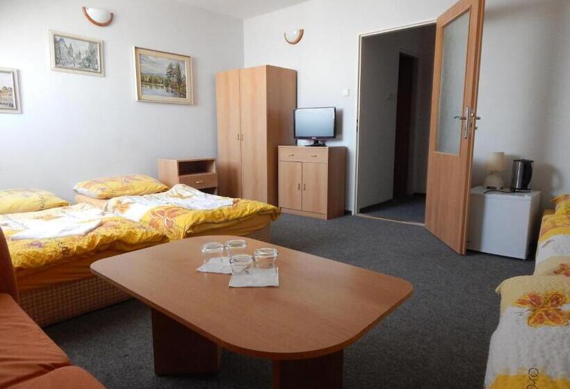 اتاق استاندارد سه نفره, Penzion U Kašných