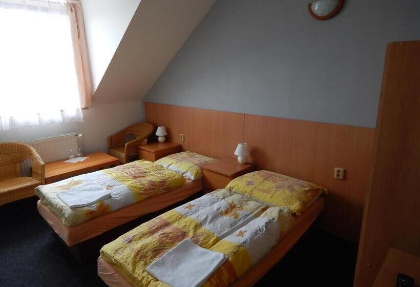 חדר סטנדרט, Penzion U Kašných