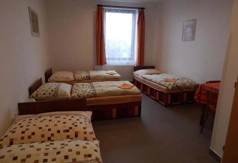 4ベッドルームクラシックタイプ, Penzion U Kašných