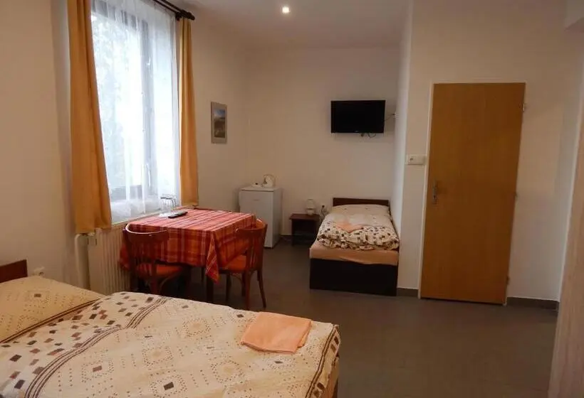 4ベッドルームクラシックタイプ, Penzion U Kašných