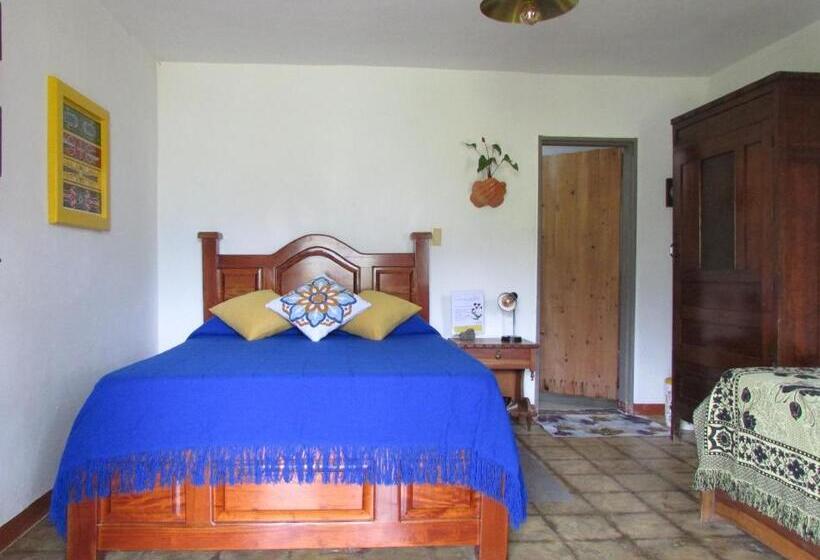 スタンダード４人部屋, Alojamiento Rural Jardín Consentido