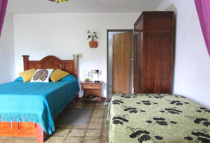 スタンダード４人部屋, Alojamiento Rural Jardín Consentido