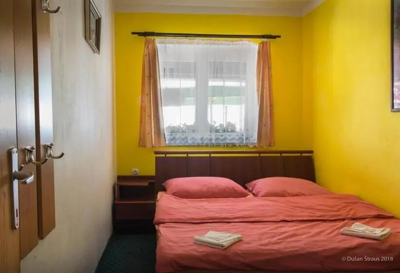 Camera Standard, Penzion Pohlednička