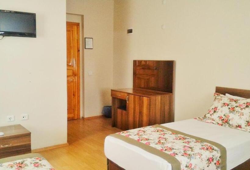 景色の見えるスタンダード4人部屋, Odunluk Tas Konak