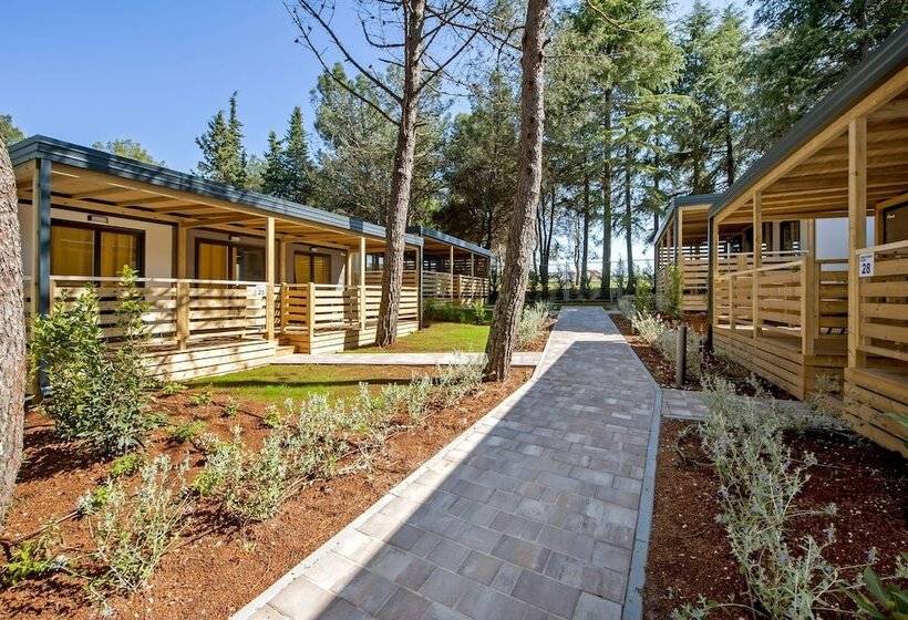 2间卧室的房子, Mediteran Kamp Mobile Homes In Camping Lanterna