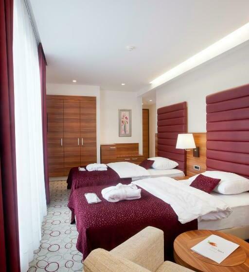 スタンダードルーム, Sport