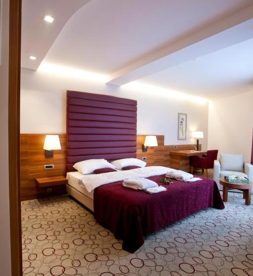 スタンダードルーム, Sport