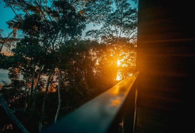 اتاق راحتی, Enai