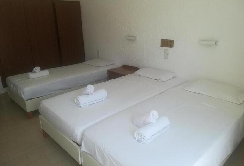 スタンダードトリプルルーム, Neon