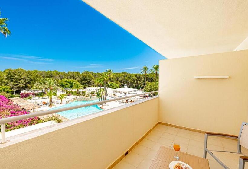 スーペリアージュニアスイート, Rosella affiliated by Intelier