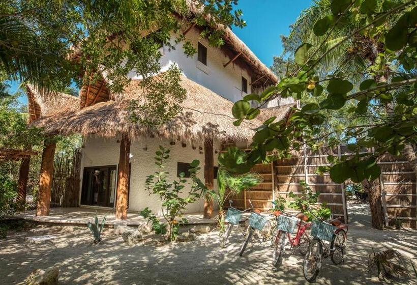 فيلا سوبيريور غرفة نوم واحدة, Villas Flamingos