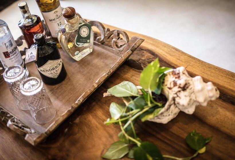 فيلا سوبيريور غرفة نوم واحدة, Villas Flamingos