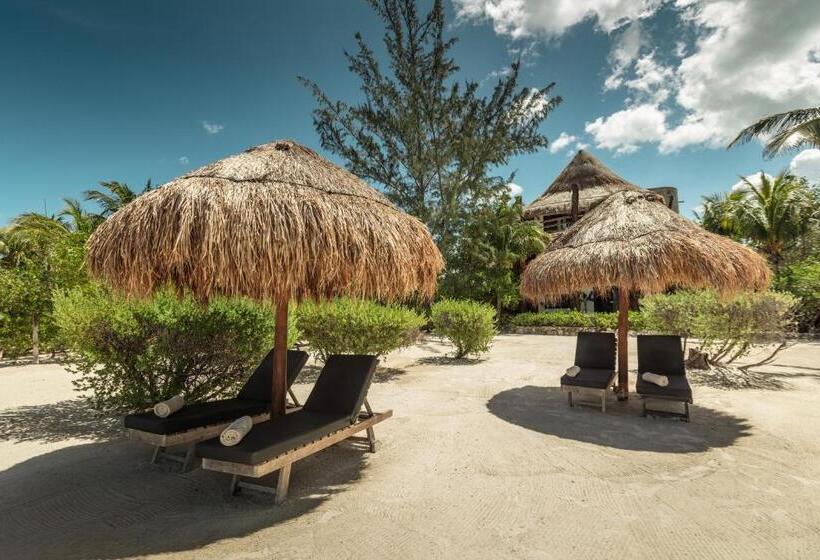 فيلا سوبيريور غرفة نوم واحدة, Villas Flamingos
