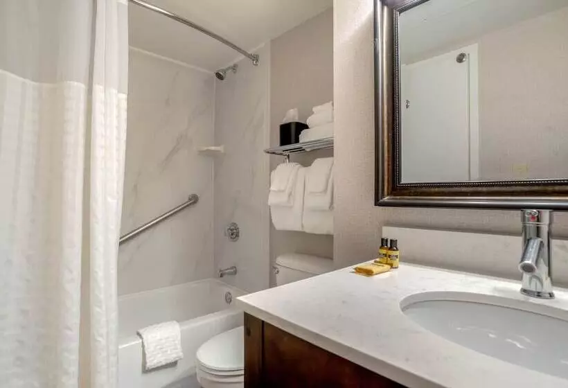 اتاق استاندارد با 2 تخت دوبل, Best Western Plus St. Christopher