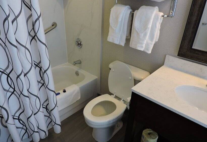 Standard Room 2 Double Beds