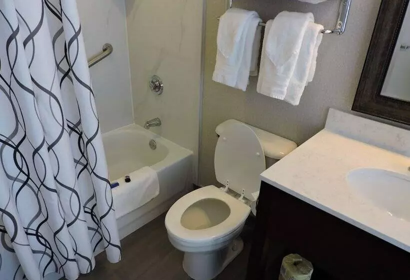 Standard Room 2 Double Beds