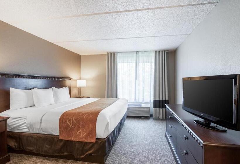 جناح سرير كينج, Comfort Suites Austin Airport