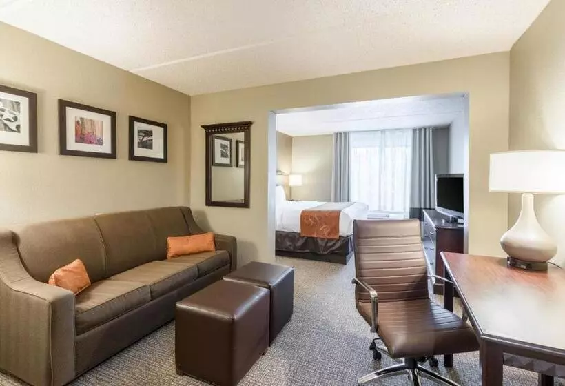 سوئیت با تخت بزرگ, Comfort Suites Austin Airport