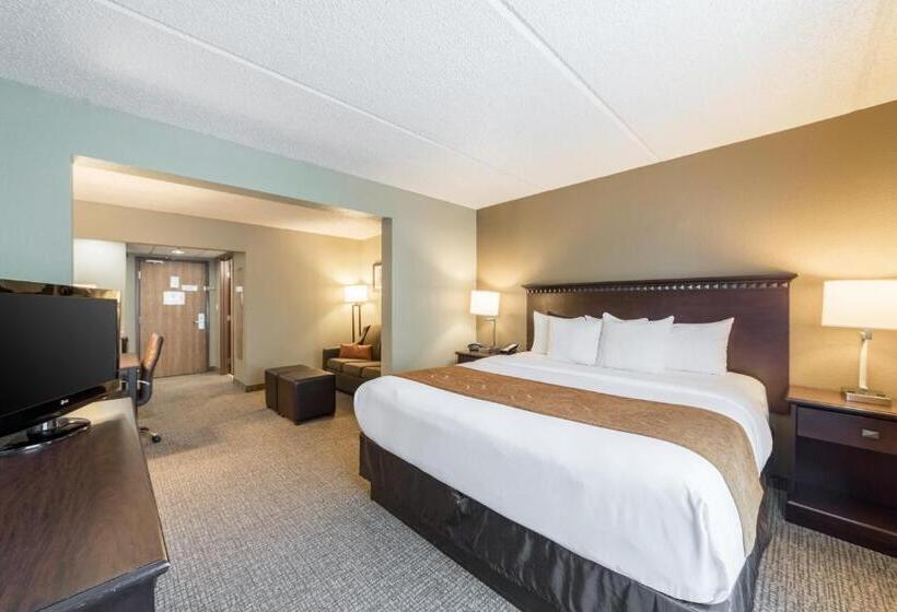 جناح سرير كينج, Comfort Suites Austin Airport