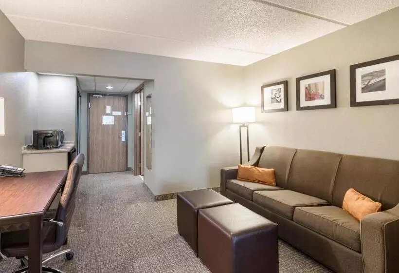 سوئیت با تخت بزرگ, Comfort Suites Austin Airport