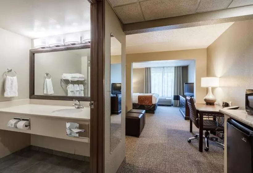 سوئیت با تخت بزرگ, Comfort Suites Austin Airport
