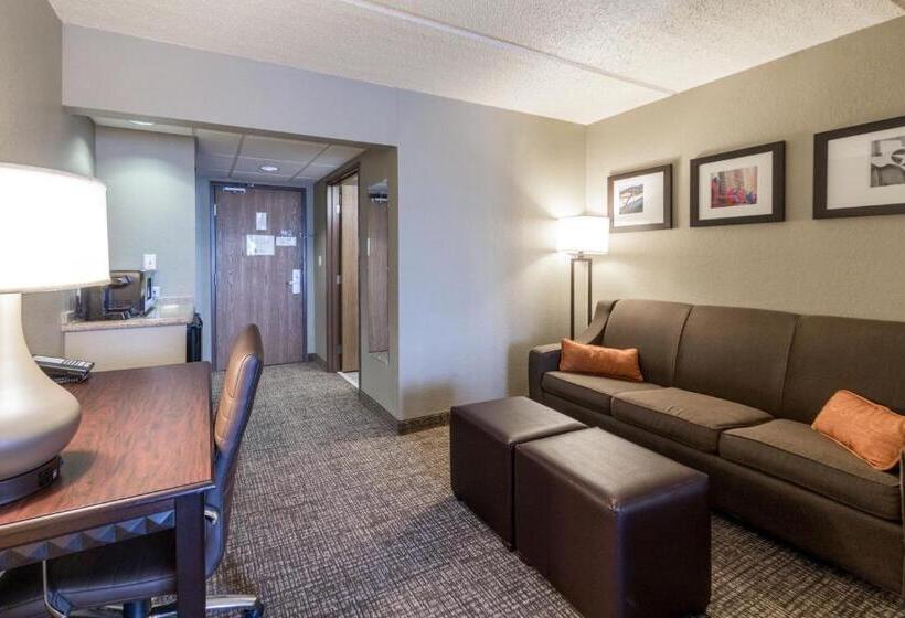 Suite Lit King, Comfort Suites Austin Airport