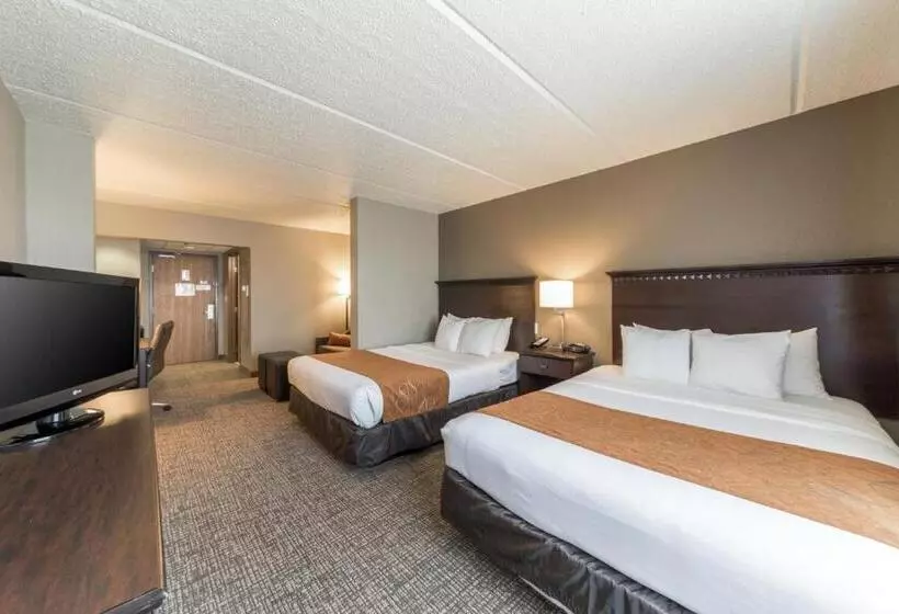 سوییت, Comfort Suites Austin Airport