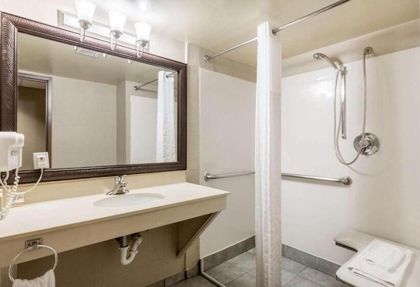 جناح لذوى الاحتياجات الخاصة, Comfort Suites Austin Airport