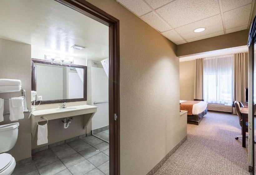 Suite Adaptée aux Personnes à Mobilité Réduite, Comfort Suites Austin Airport
